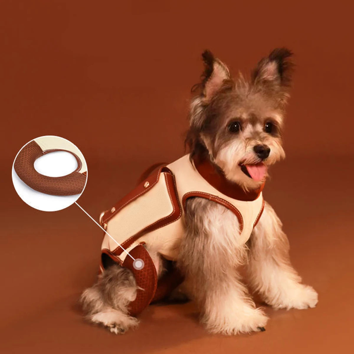 CarryPup