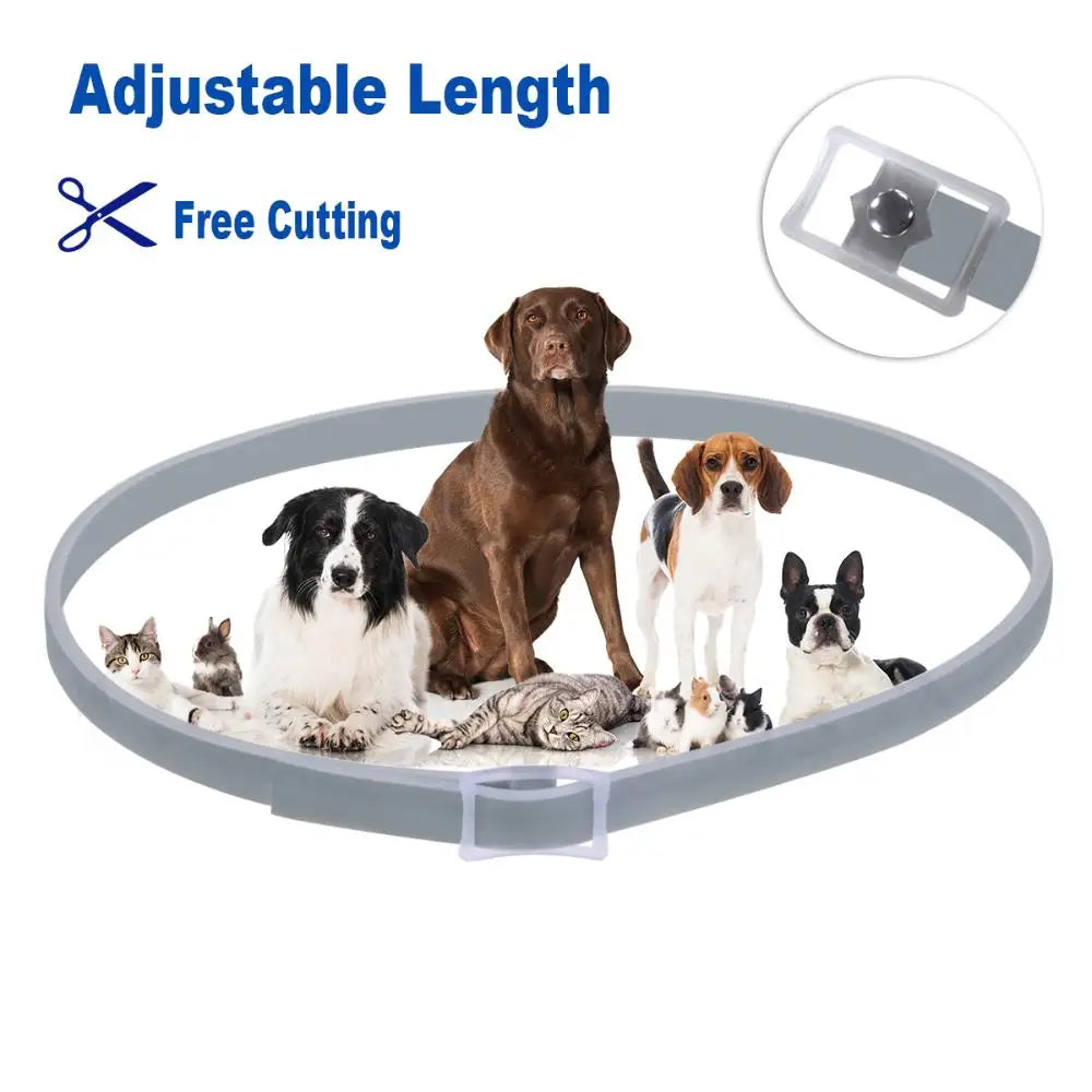 8Guard Collar™ — The Love‑Built Shield Your Dog Deserves