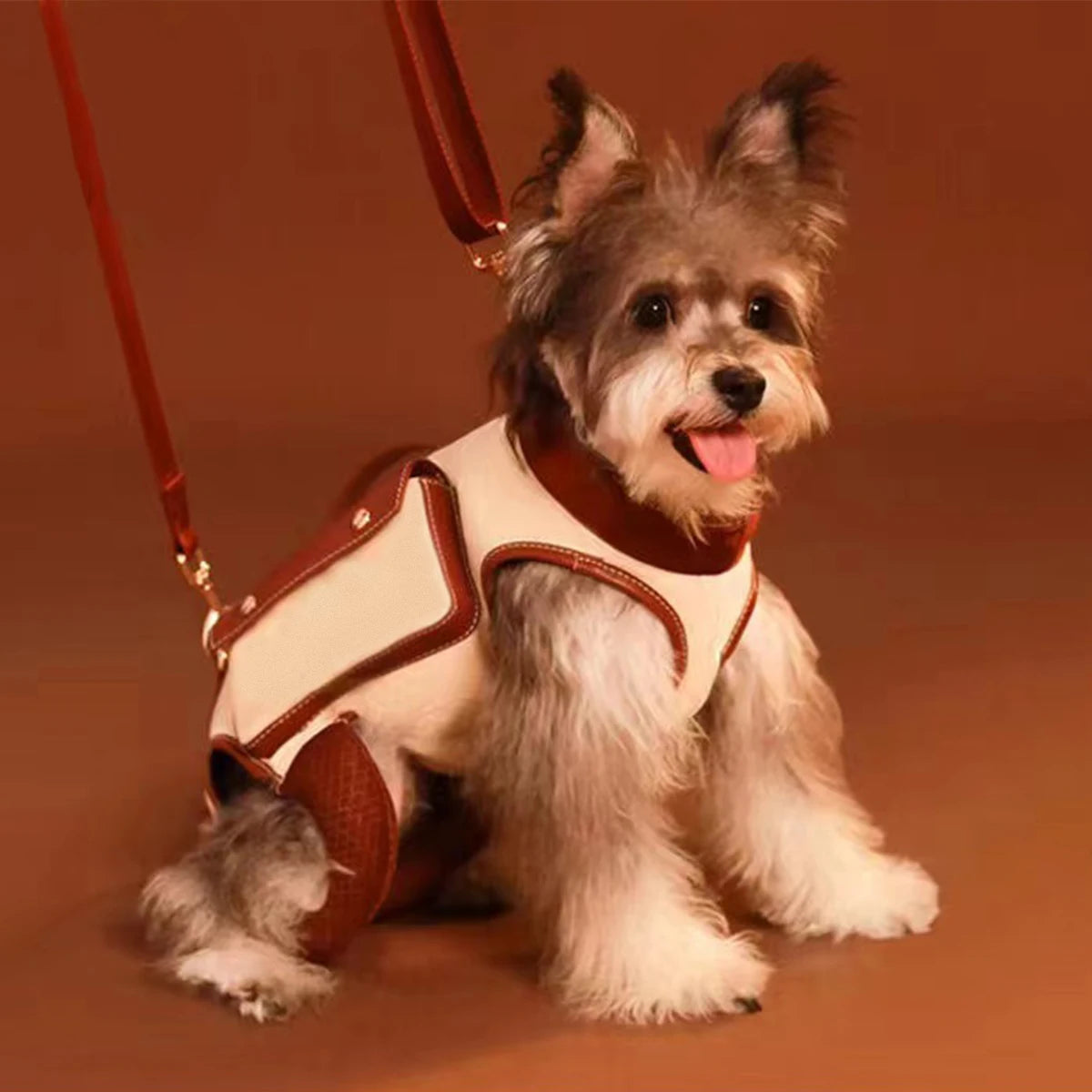 CarryPup
