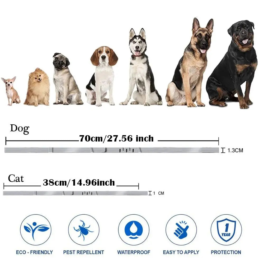 8Guard Collar™ — The Love‑Built Shield Your Dog Deserves