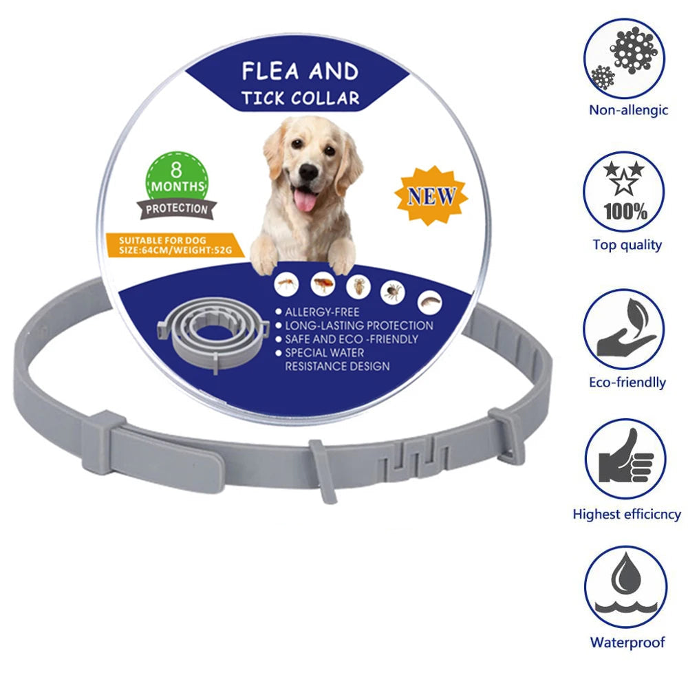 Make your furry friend happy