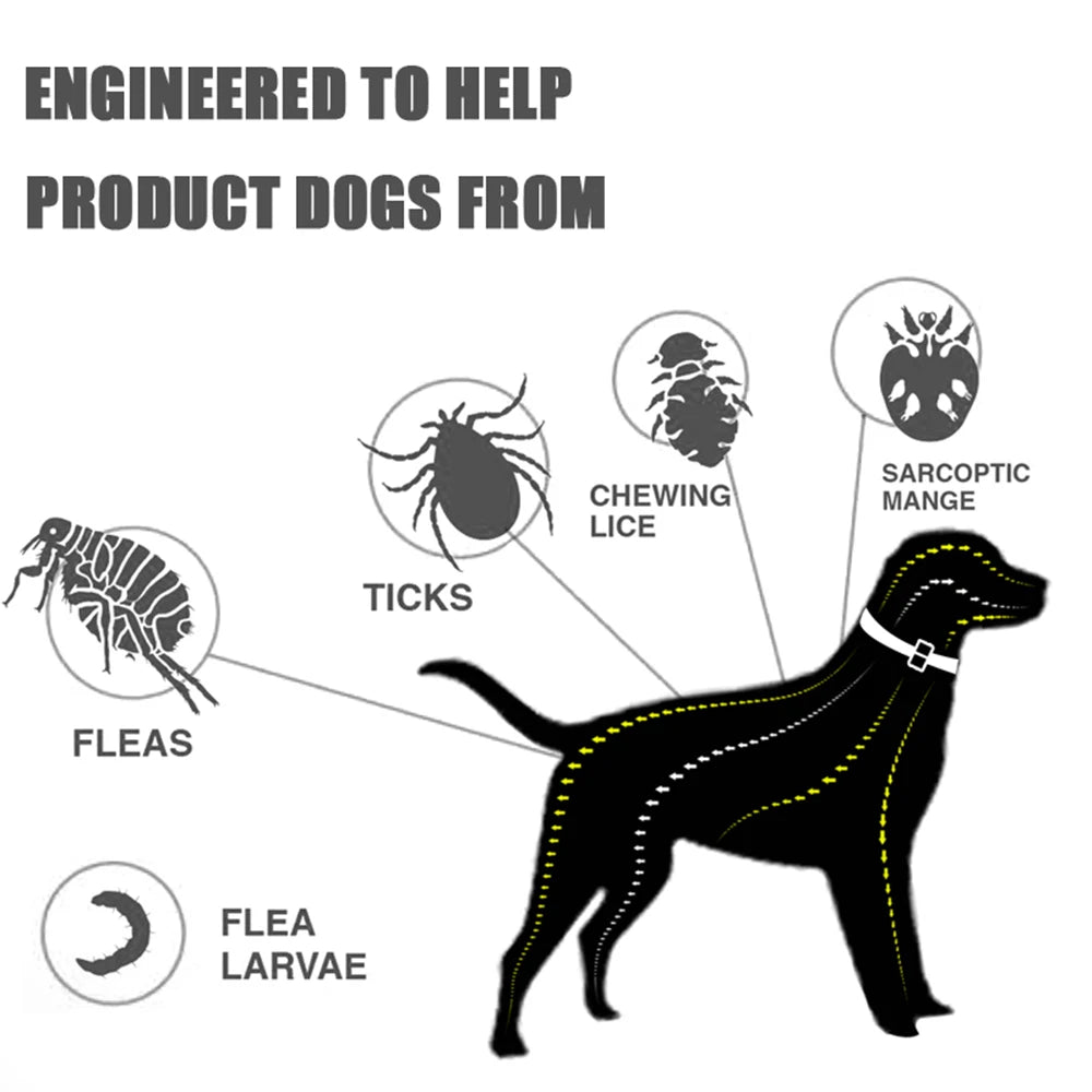 8Guard Collar™ — The Love‑Built Shield Your Dog Deserves